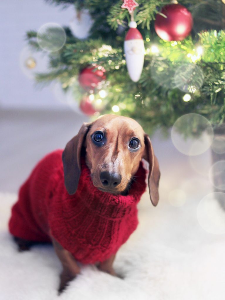 El rojo en Navidad