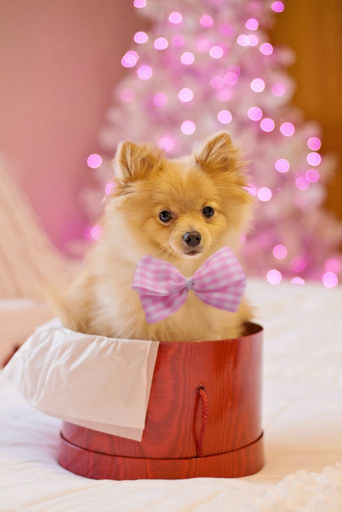 Regalos navideños